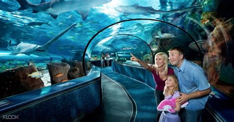 ripley's aquarium myrtle beach tickets